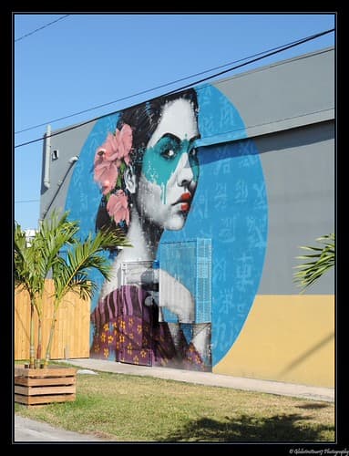 Wynwood- Miami- Floride- Etats-Unis.