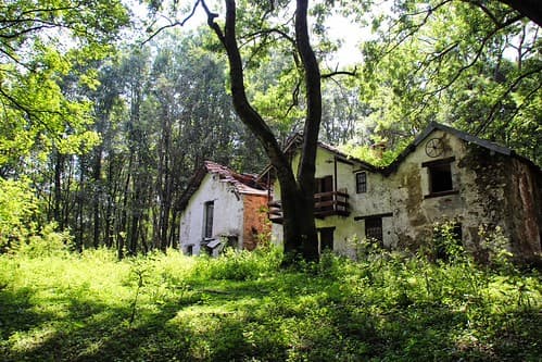 Monte Mottarone (19.08.19) 15