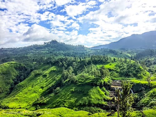 Kandy tea plantations, Kandy, Sri Lanka