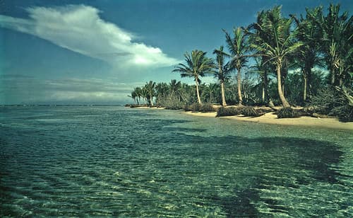 Sainte-Anne (Guadeloupe)