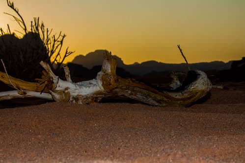 Wadi rum (18)