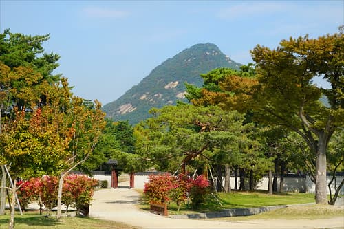 Le jardin du Palais royal Gyeongbok-gung (Séoul)