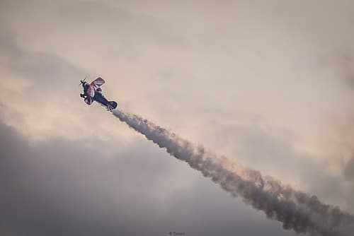 Free Flight