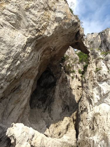 ARCHE NATURELLE