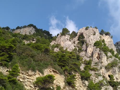 ARC NATUREL