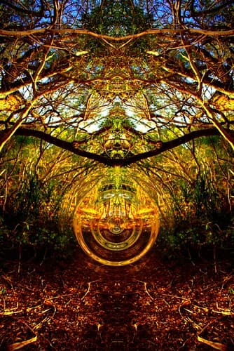 Abstract - Sacred Portal - The secret space program disclosure