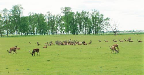 Meškuičių seniūnija, Lituanie Colline des Croix