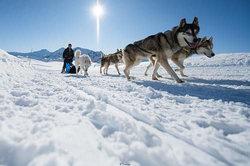 Walking in the snow