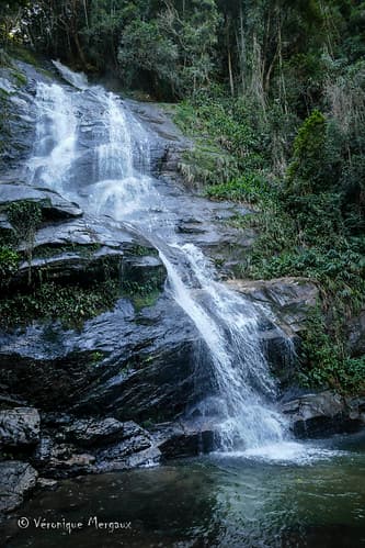 P1000260