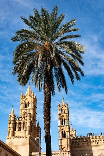 Cathedral of Palermo, UNESCO World Heritage for its Arabic-Normanic history.