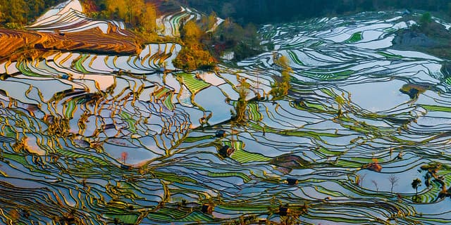 Bali été
