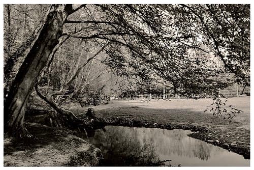 Le calme de la campagne…