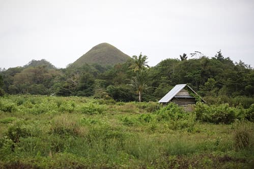 Bohol