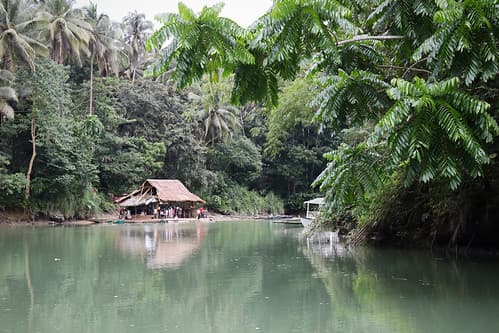 Bohol