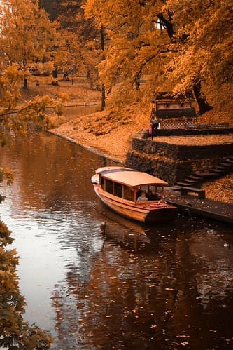 Floating through the gold