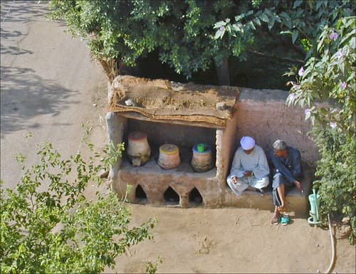 La campagne autour de Medinet Habou, Thèbes ouest (Egypte)