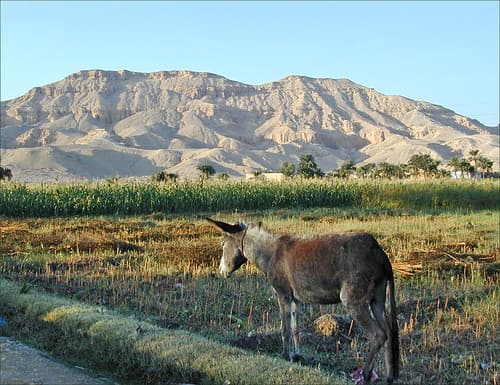 La montagne thébaine (Louxor, Egypte)