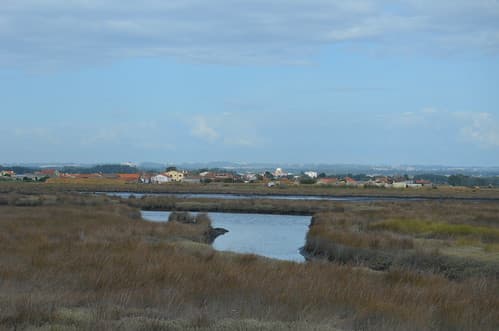 Where wilderness meets civilization