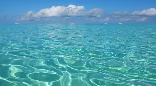 Cayo Coco