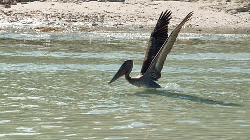 Cayo Coco