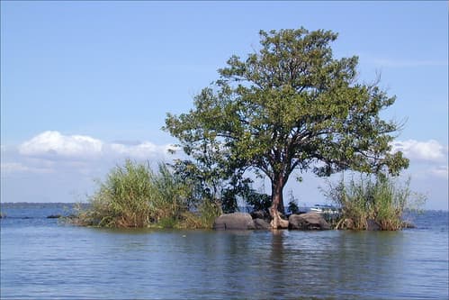 Le lac Nicaragua à Granada