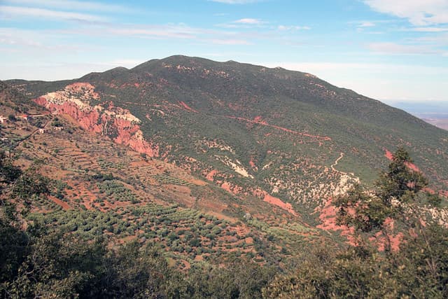 été ouarzazate