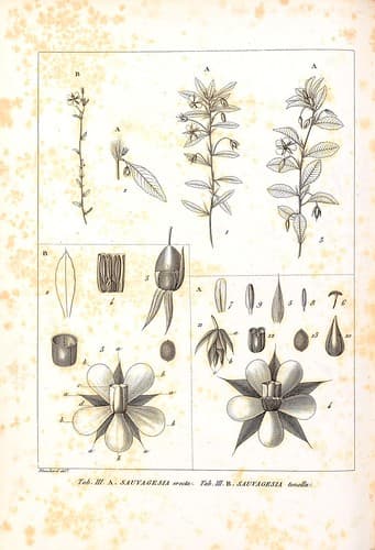 n149_w1150