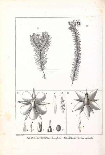 n155_w1150