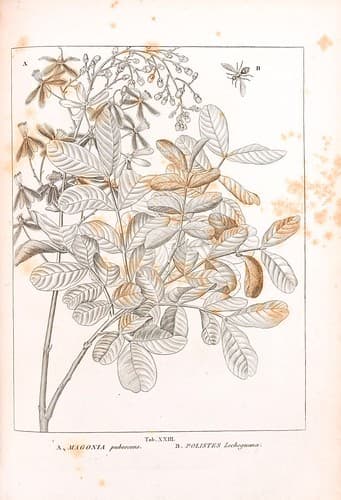 n362_w1150