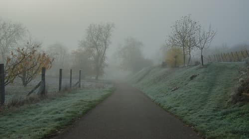 La nature en perd ses couleurs
