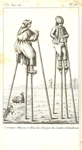 n505_w1150