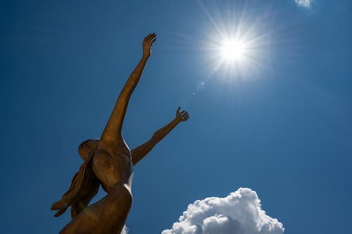 Reaching for the sun