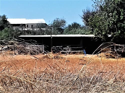 ypsonas+sba+limassol+cyprus+agricultural+factorie+industrial+business+area+sovereigh+british+area+trachoni+ipsonas+asomatos+cyprus+ (71)Zypern, lemesos, britische hochgebiet
