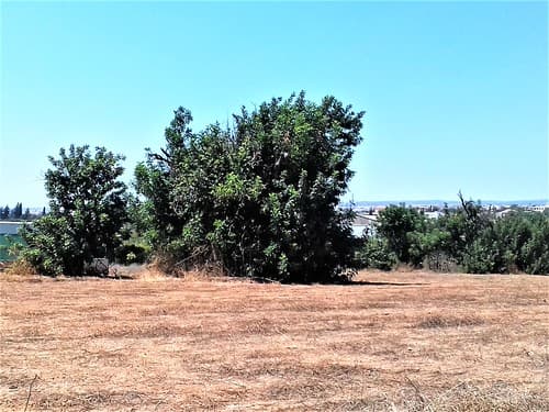 ypsonas+sba+limassol+cyprus+agricultural+factorie+industrial+business+area+sovereigh+british+area+trachoni+ipsonas+asomatos+cyprus+ (67)Zypern, lemesos, britische hochgebiet