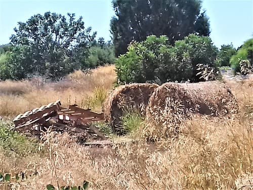 ypsonas+sba+limassol+cyprus+agricultural+factorie+industrial+business+area+sovereigh+british+area+trachoni+ipsonas+asomatos+cyprus+ (57)Zypern, lemesos, britische hochgebiet
