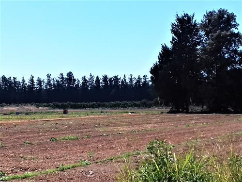 ypsonas+sba+limassol+cyprus+agricultural+factorie+industrial+business+area+sovereigh+british+area+trachoni+ipsonas+asomatos+cyprus+ (3)