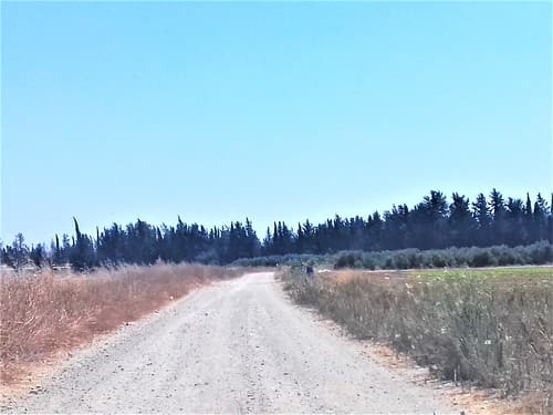 ypsonas+sba+limassol+cyprus+agricultural+factorie+industrial+business+area+sovereigh+british+area+trachoni+ipsonas+asomatos+cyprus+ (2)