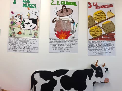 Italie, Lesignana di Modena, Fromagerie Quattro Madonne, productrice de Parmigiano Reggiano, Étapes de la fabrication du fromage