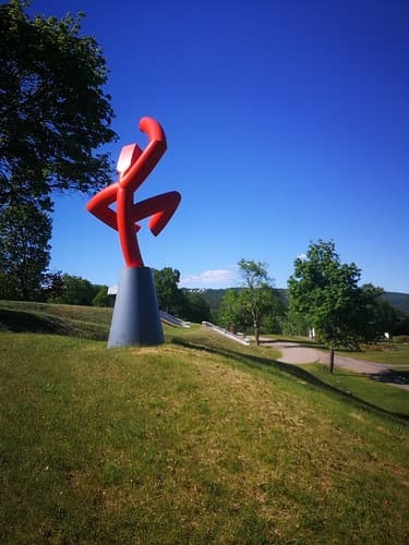 Terrence Karpowicz, Cosmic Dancer, 2014