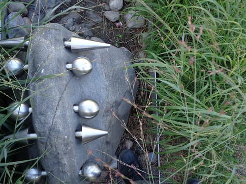 Jardin Punk, Roger Gaudreau, 2005.