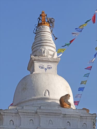 Petit Stupa dans le temple de Swayambhunath (Katmandou, Népal)