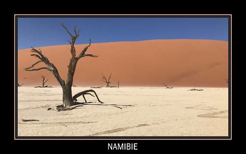 Sossusvlei- Namibia- Namibie