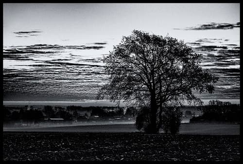2020-11-28-Blehen-autres-5-Pt