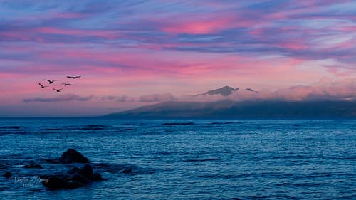 Aloha Blue Hour