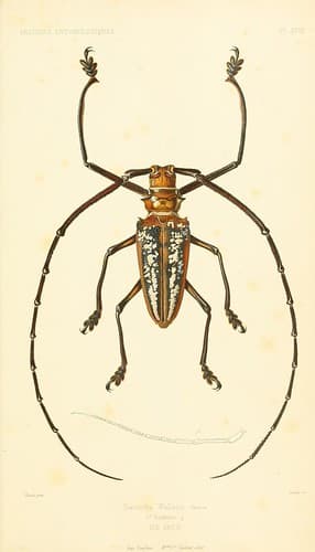 n558_w1150