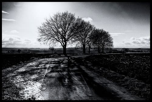 2020-12-25-Hesbaye-77-Pt