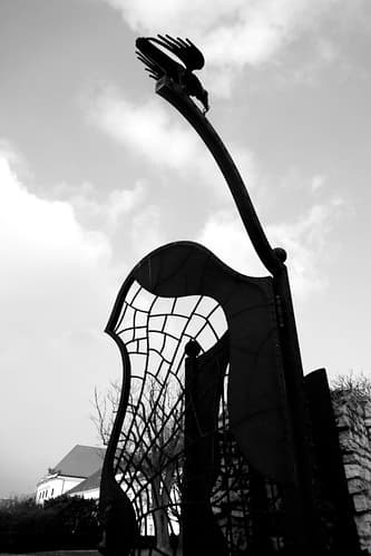 P1010726-2Z