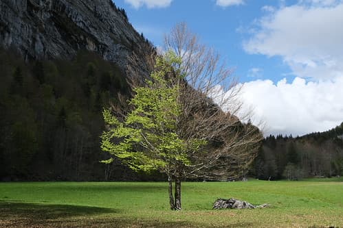 La Rosière @ GR96