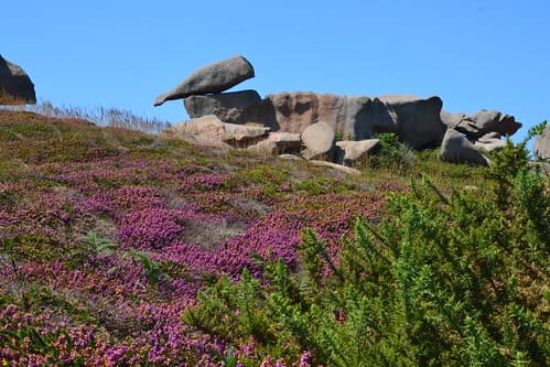 Côte de granit rose, de Perros Guirec à Ploumanach