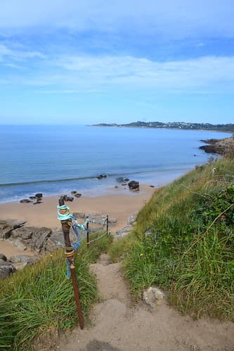 Path to the beach